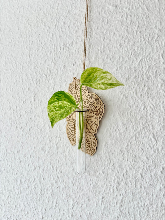 Wooden Wall Hanger for Plant Propagation – "Monstera" | with Test Tube | Laser Engraved