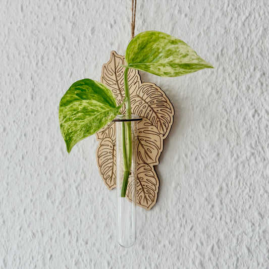Wooden Wall Hanger for Plant Propagation – "Monstera" | with Test Tube | Laser Engraved